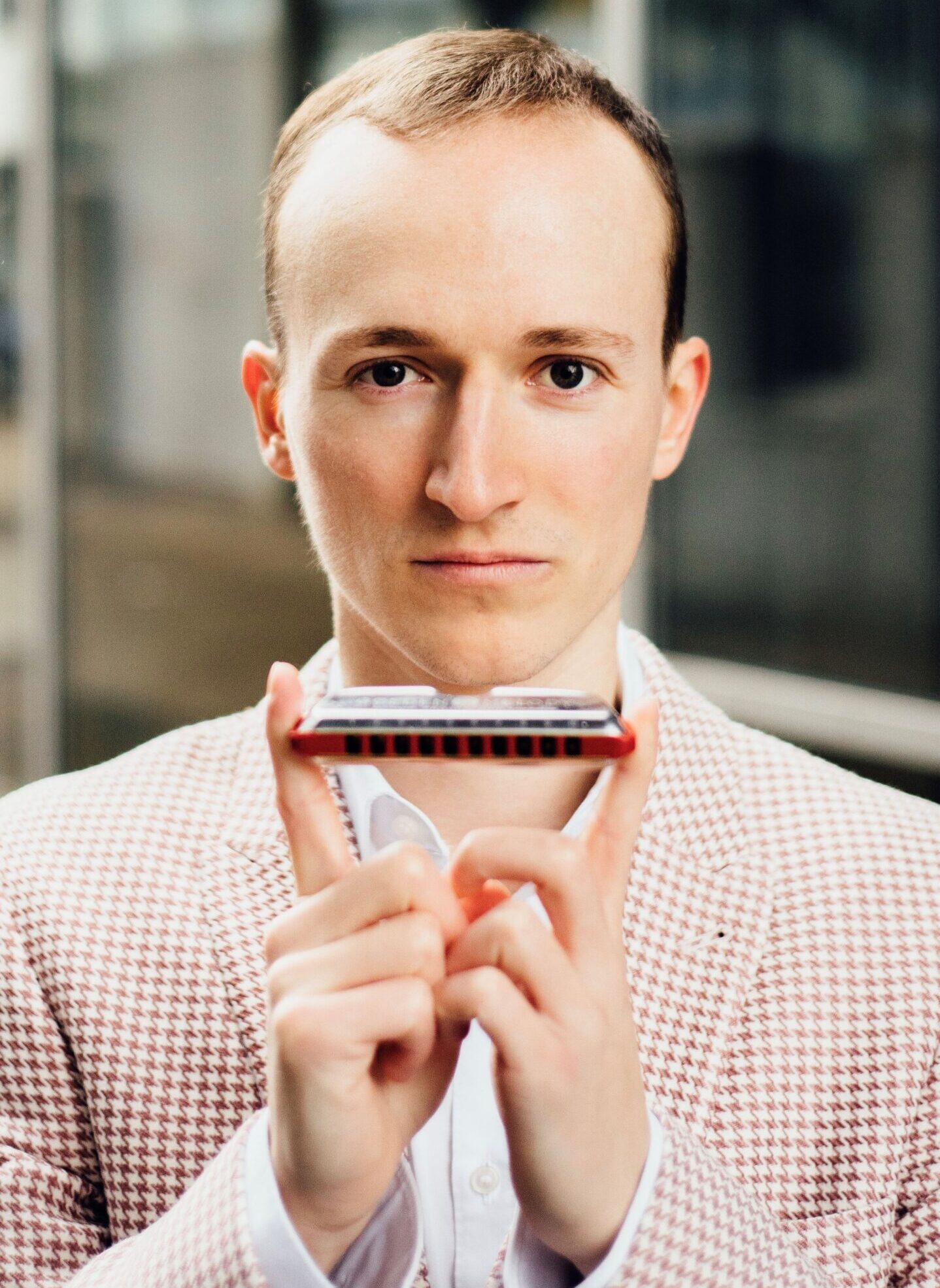 Anfängerkurs – Diatonische Mundharmonika